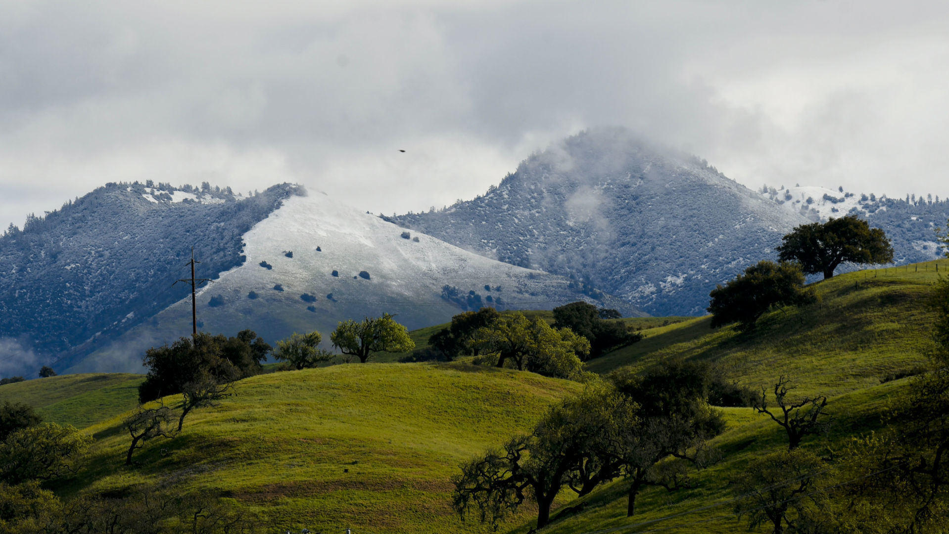 031720 Snow Figueroa Mountain 06.jpg